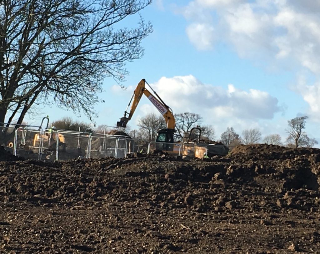 Take our Green Belt quiz and learn why it's important to save it